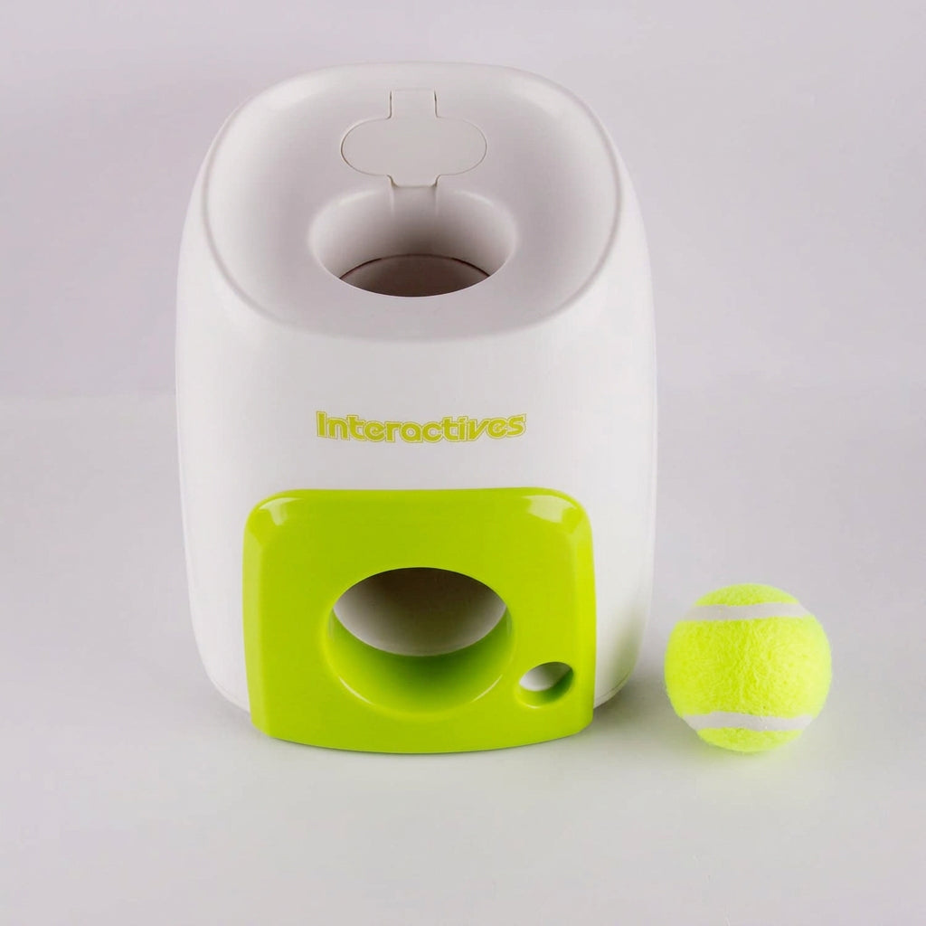 ALL FOR PAWS Interactive Fetch N Treat Dog Toy